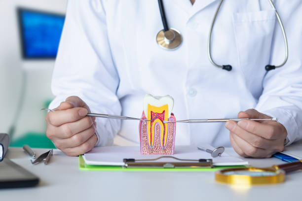 Best Emergency Treatment for Dental Infections or Abscesses in Farmington, MS